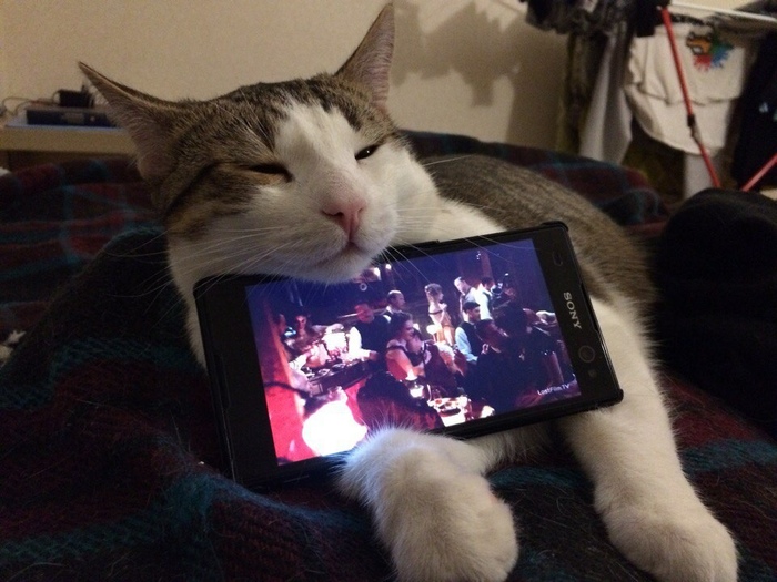 �������� ������� ����