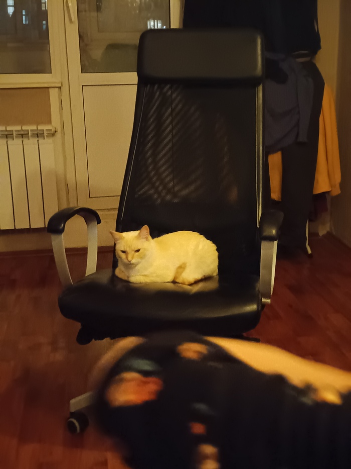     , , , 