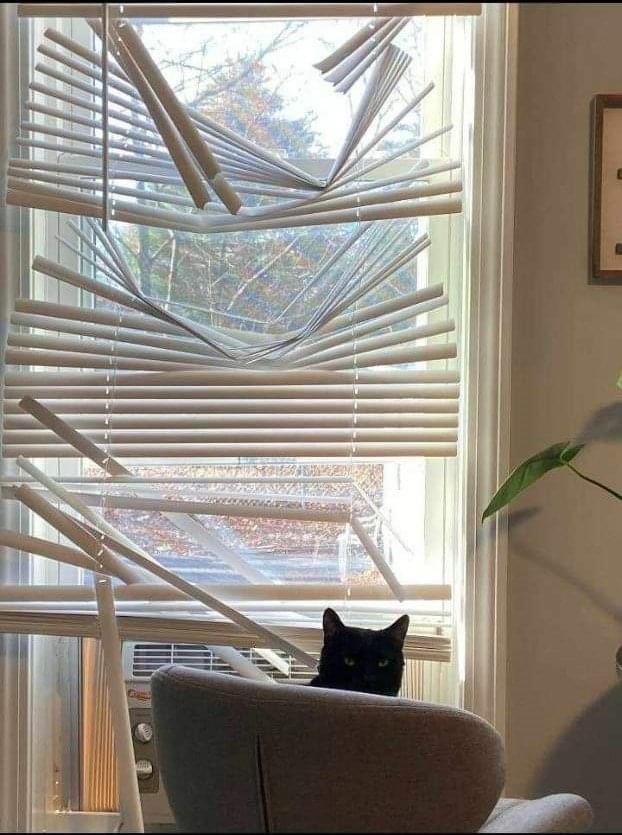       , ,  ,  , 
