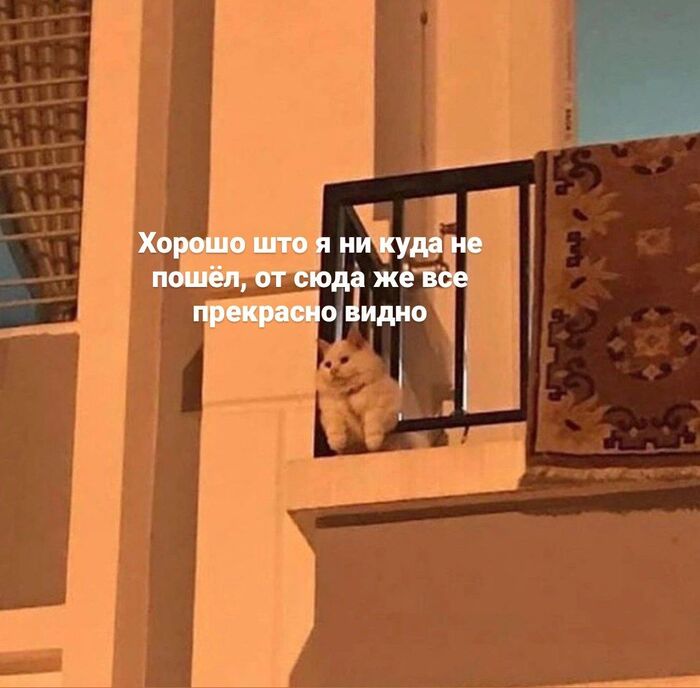 Когда проводишь очередной выходной дома, отказавшись от всех приглашений затусить с друзьями...