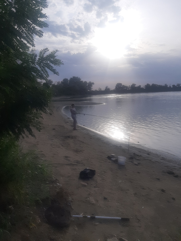 ���� �������� �� �������