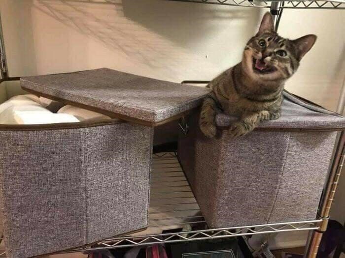 ...