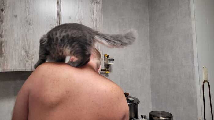 Кот капитана Флинта