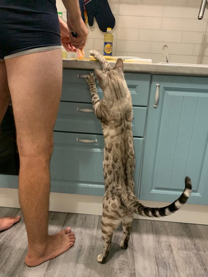 ������ �������������� ������� � ������� �� �� ���