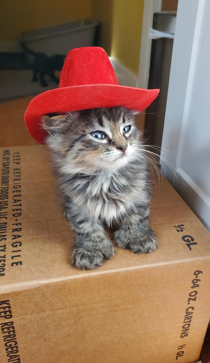 Этот город слишком мал для нас двоих