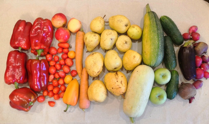 Огородная палитра