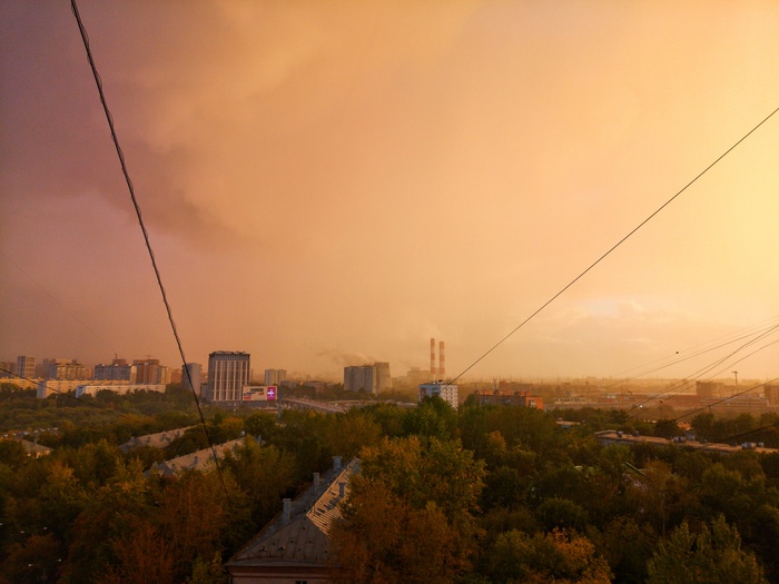 ������ ������