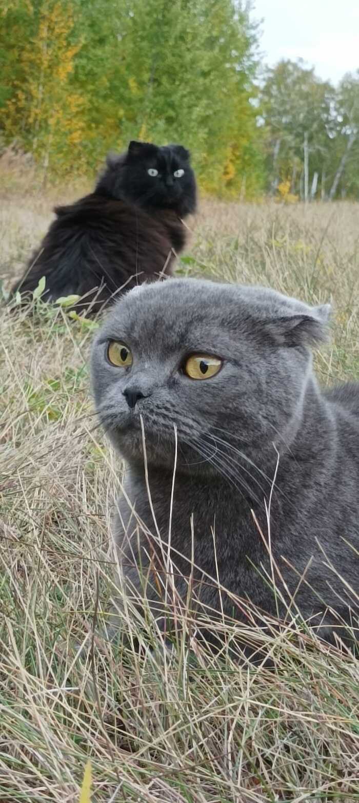  3  , , , , ,  , 