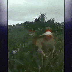  , , , 