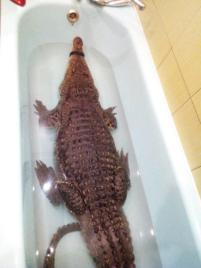 Ебануться на отлчненько