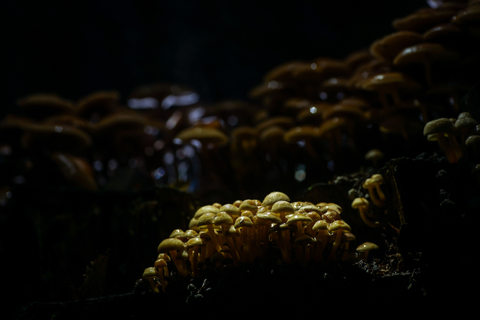 Молодым везде у нас дорога...