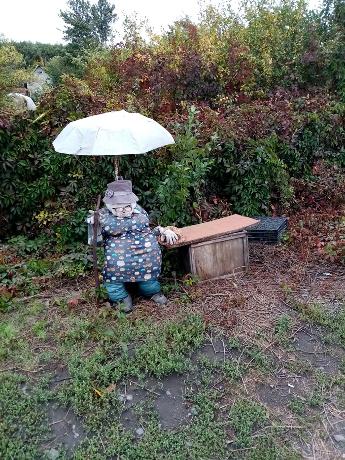 �������� ����������