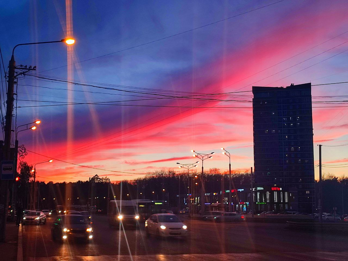 Пунцовый закатик