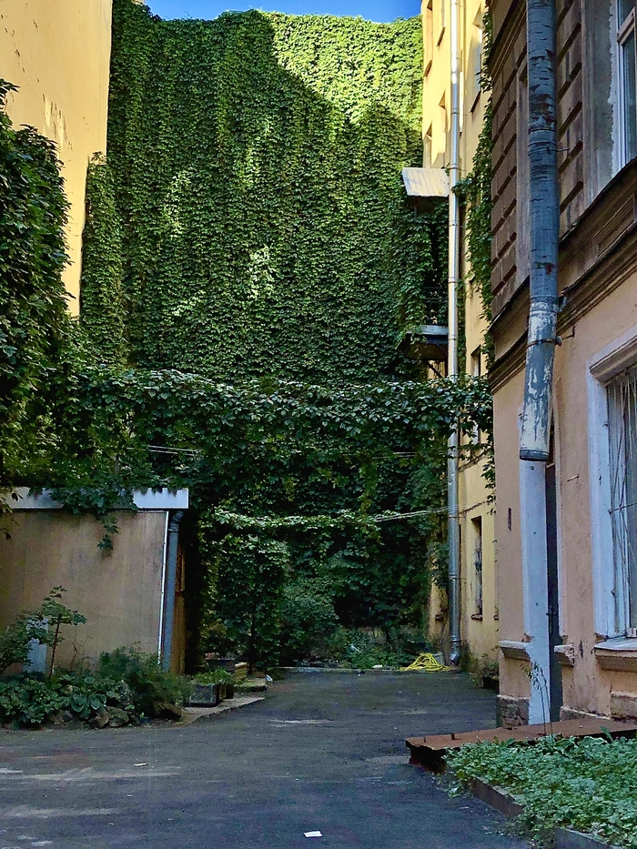 Зашла за обувью - пейзаж бонусом