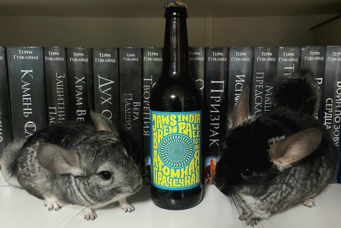   (Jaws) ,  , , , , , Jaws Brewery, , , IPA