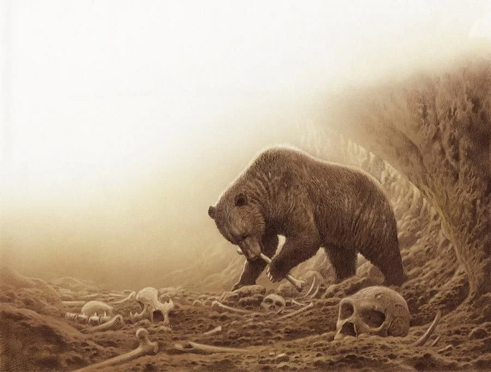 Медведь-собака — древнее животное, а гигант на 30% крупнее современного косолапого. Почему он так любил пещеры и кто мог ему угрожать?⁠⁠