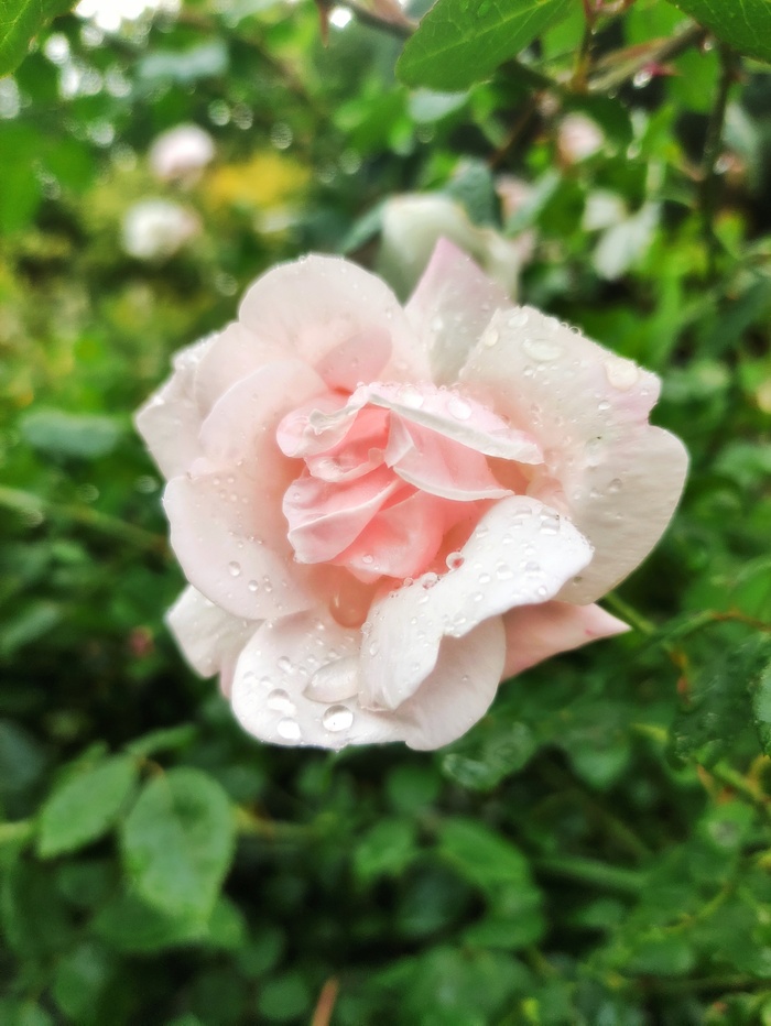 Ну что ж, лето, до новых встреч