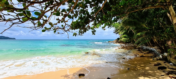 В тени ветвей