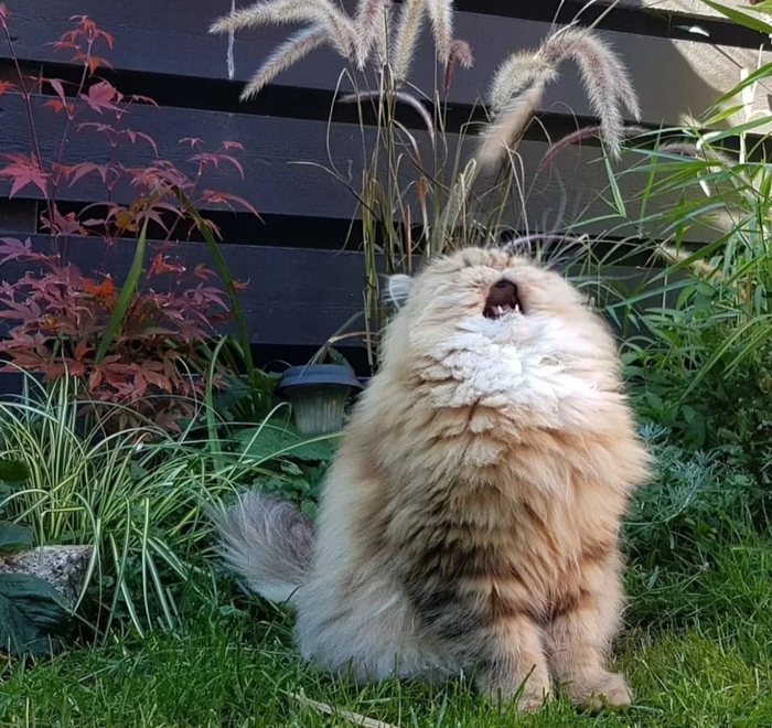 Пачка писем