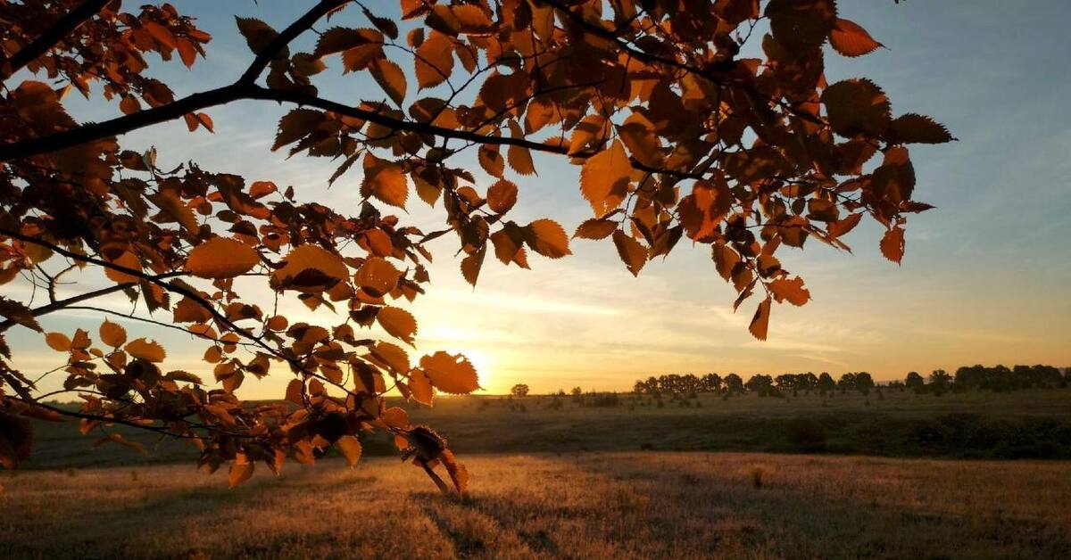 September morning. Сентябрьское утро. Прекрасный осенний рассвет. Красивые рассветы сентября. Рассвет Тула.