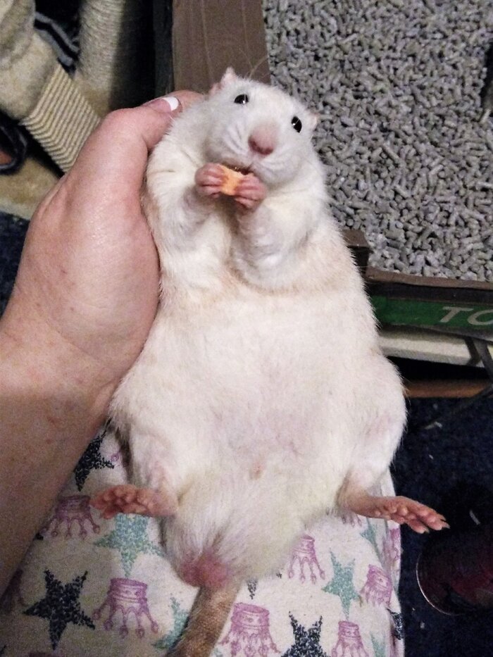  "":    ,     , , 