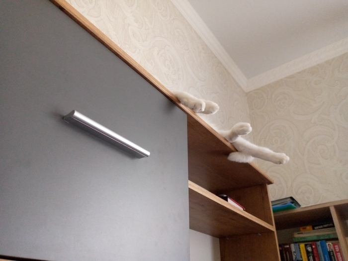 ������������ �� �����������