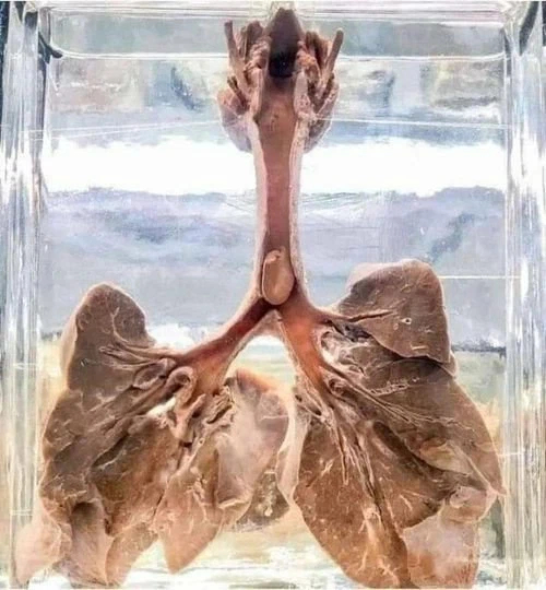 Жизнь это мгновение