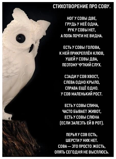 Стих про сову