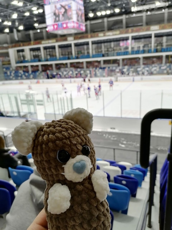 Игрушки и хоккей несовместимы?