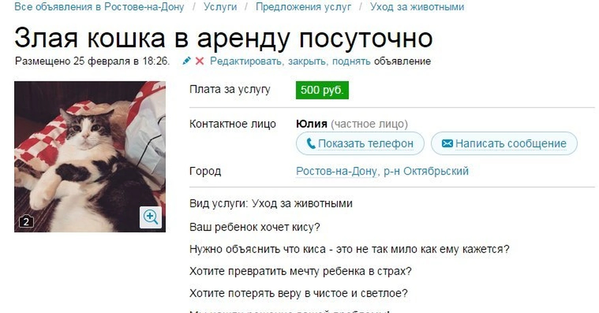 Красивое Объявление О Продаже Котят