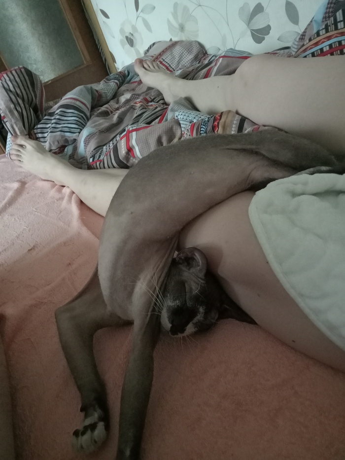 � ������ ��