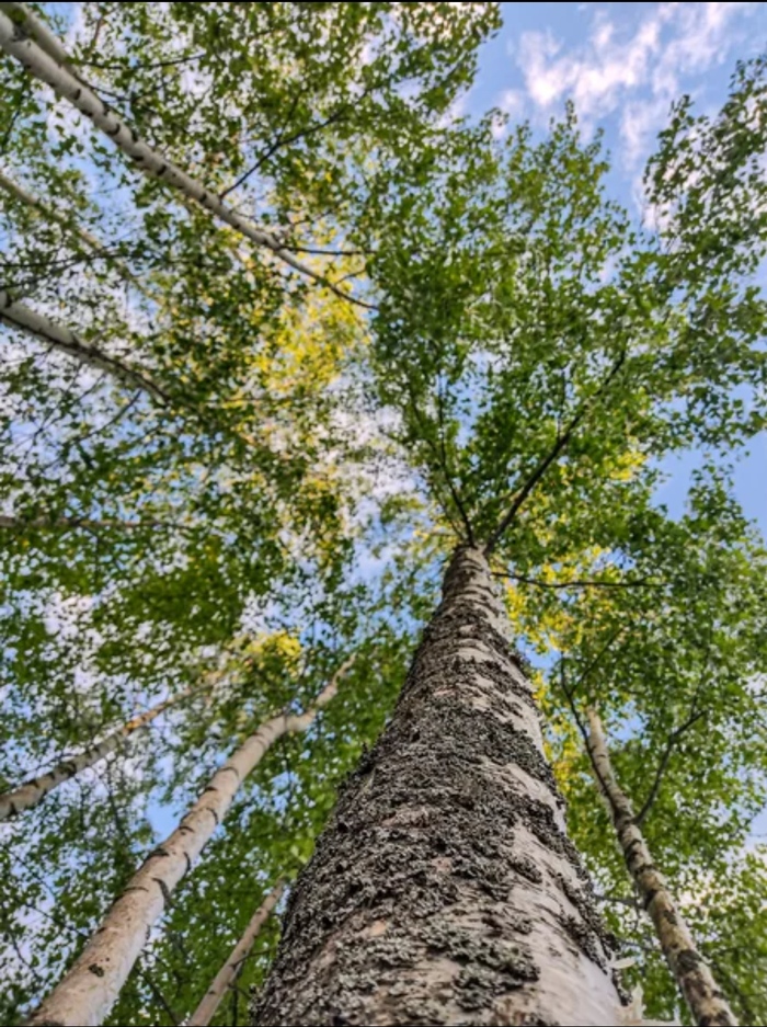 ������������ � ������