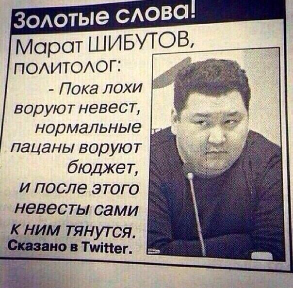 Все по сути говорит | Пикабу