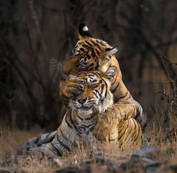 Угадай, кто?