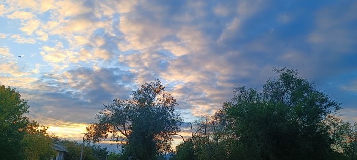 ����� �����