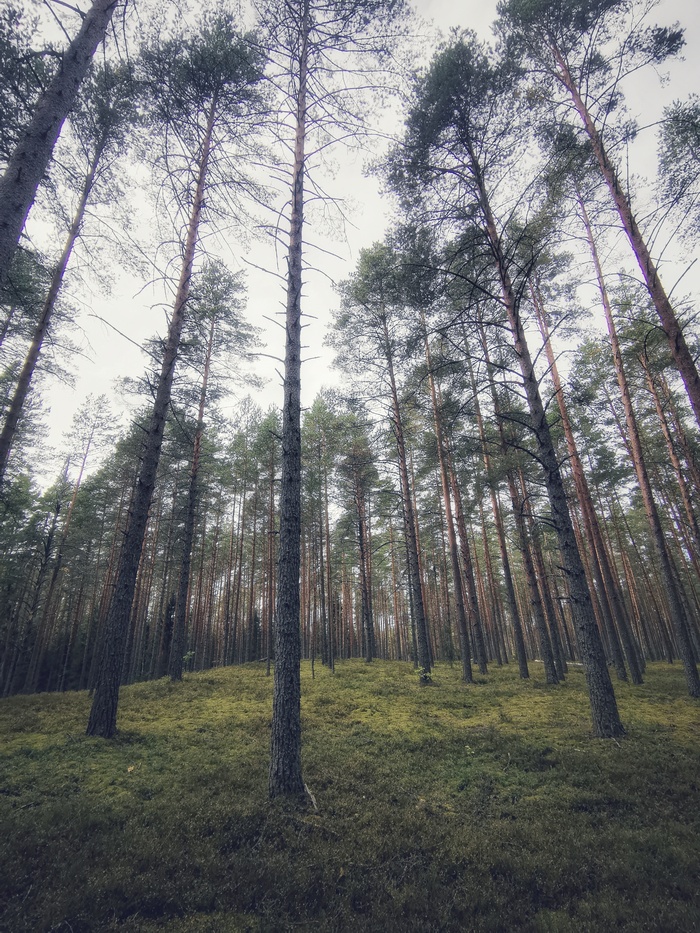 ��������� ���