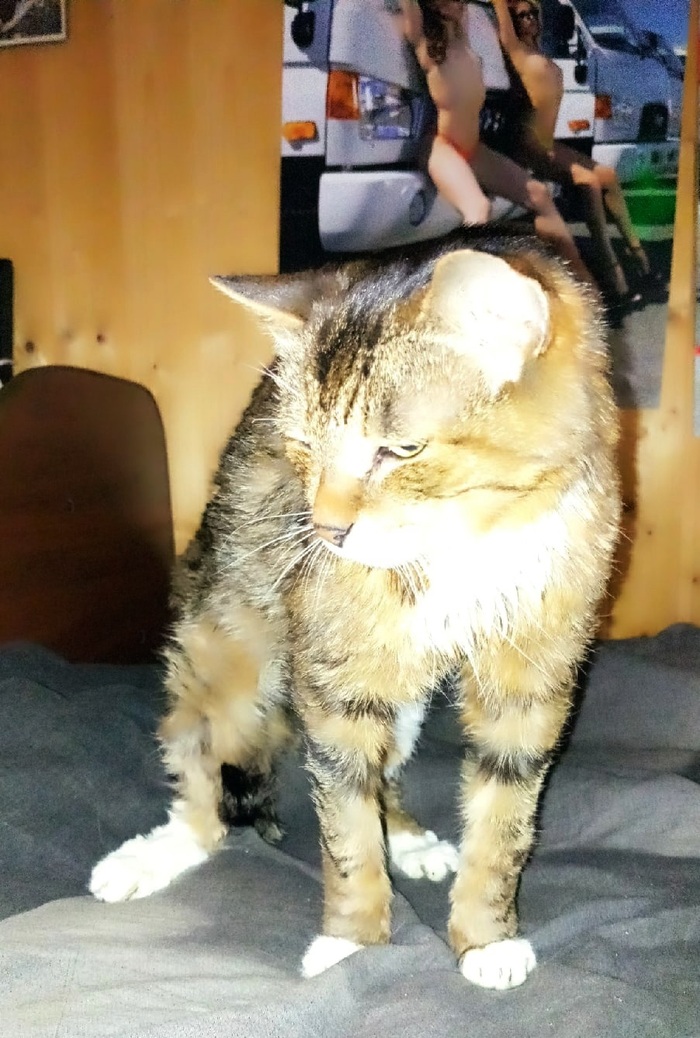 ���������� �������. ����� 5