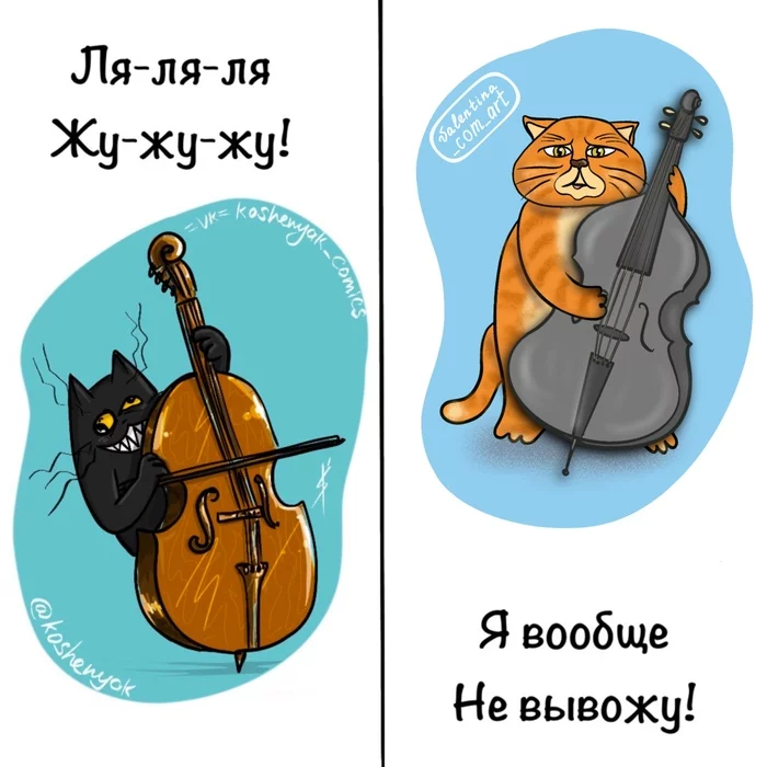 Коты оркестр. Котик оркестр.