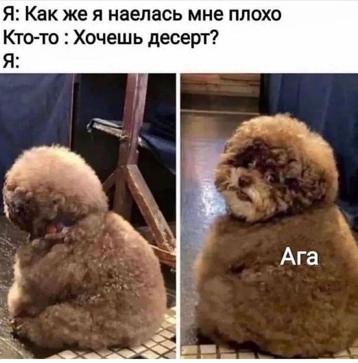  , ,   