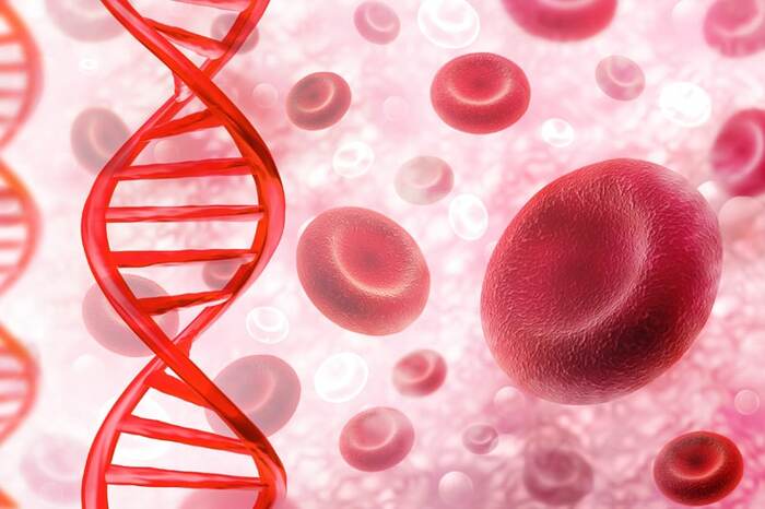 �������� ��� ��������� �����������