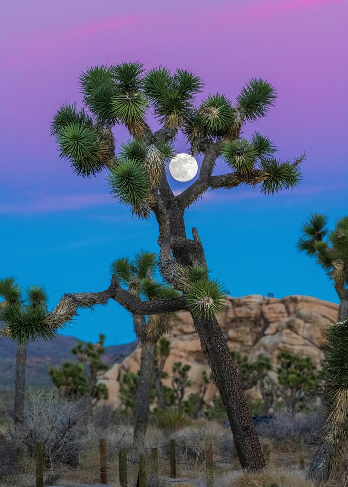 Восход Луны