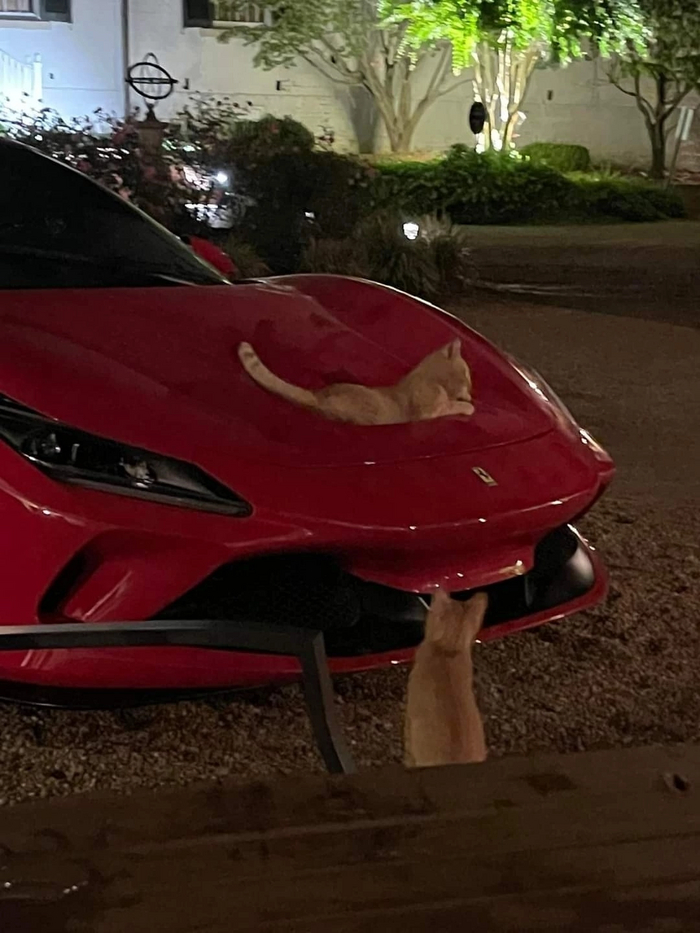        , , Ferrari, , 