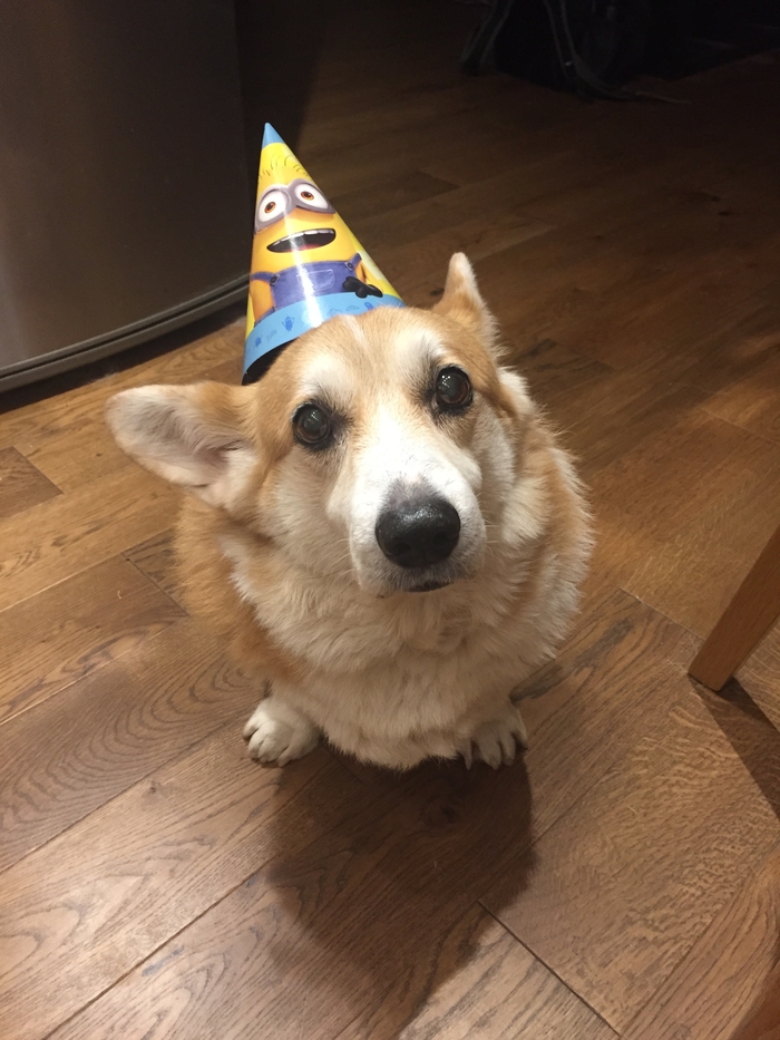 ϸ��� ������ ������� ������� ��� ���������� �����!