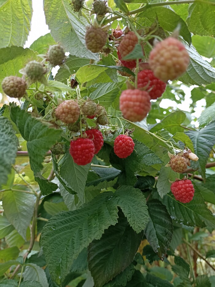 �������� ��������...