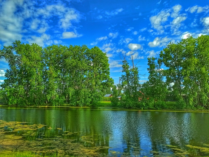 Бакчарский район