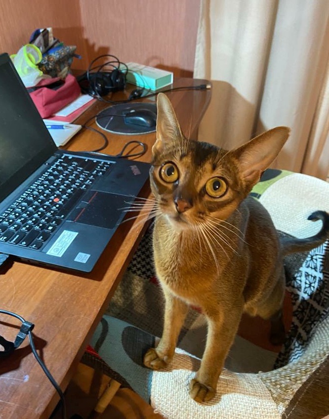 В какой эшелон?)