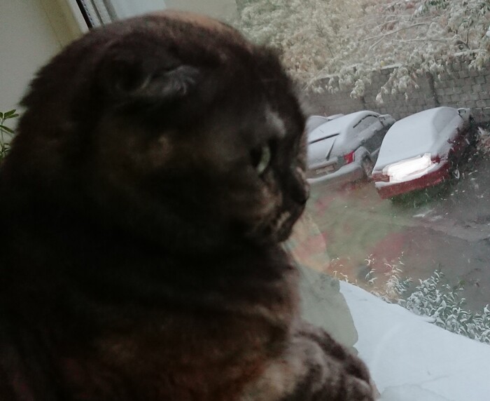 А снег идёт...