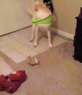     , , , 