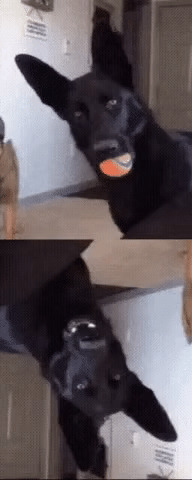      , , , 