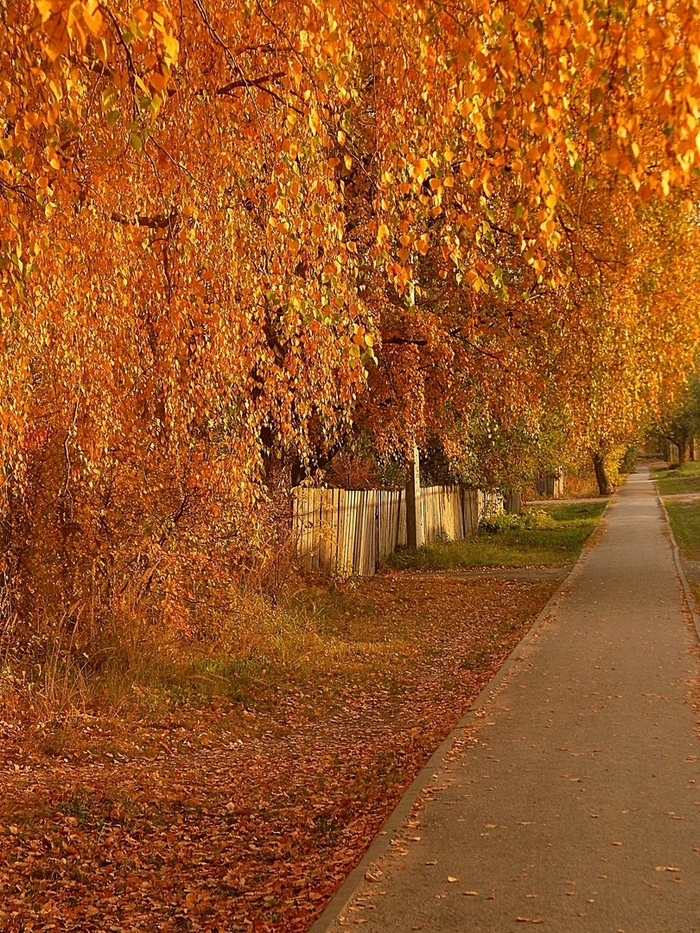Золотая осень, Нижегородская область